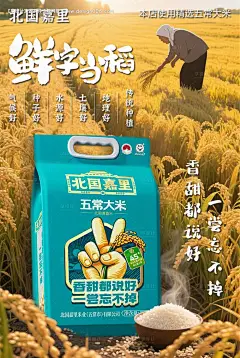 五常大米宣传海报灯箱-采灵感-cailinggan.com