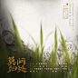 《莫问归处》 坟头衰草掩过黄-努比熊