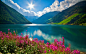 General 1920x1200 nature landscape mountains river Sun clouds pink flowers Austria