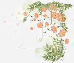 手绘花卉装饰高清素材 古朴样式 图片 小清新图片 手绘花卉装饰 旅游节海报 欧式装饰 欧式边框 素材 纹样 花纹 元素 免抠png 设计图片 免费下载 页面网页 平面电商 创意素材