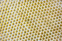 靠近浅绿色马赛克瓷砖。楼梯上镶嵌着细小的马赛克图案。图片的背景，壁纸和复制空间