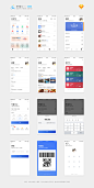 支付宝Redesign For IOS11 概念版