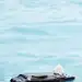 水中--石头--浅蓝色背景