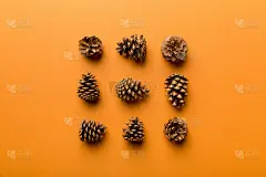 彩色桌子上的松果。自然假日背景与松果组合在一起。平的。冬天的概念