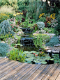 Water Gardens and Features | The Owner-Builder Network