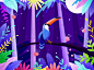 Rainforest bird1