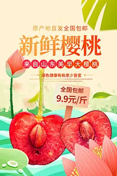 大气樱桃水果宣传海报 (46)
