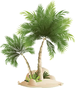 沙滩椰子树背景矢量素材_lanrentuku.com [转换]