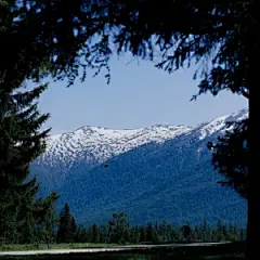 高清图片，堆糖，美图壁纸兴趣社区