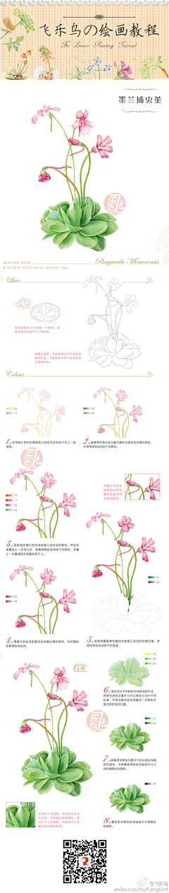 玛丽大人爱揪花采集到彩铅教程