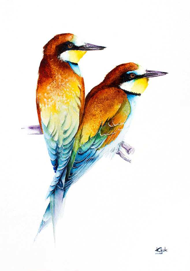 Bee-eaters watercolo...