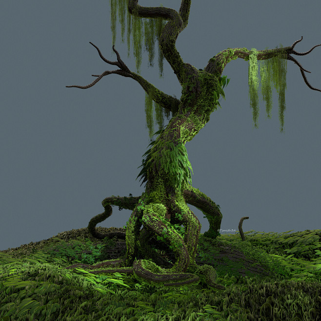 Old Growth Tree Tuto...