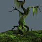 Old Growth Tree Tutorial Renders!, Tyler Smith : Some renders of the final result of my new tutorial series on making old growth moss covered tree assets for games.  I go through the entire creation process of making old growth trees and foliage using Zbr