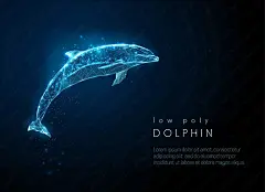 00505_抽象跳跃的海豚低聚风格光点跳跃的海豚星光点点矢量插画素材.jpg.jpg