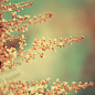Don‘t cry because it is over, smile because it happened.
不要因为结束而哭泣，微笑吧，为你的曾经拥有。