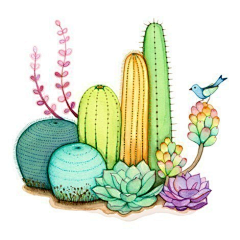猫粒2010采集到插画植物