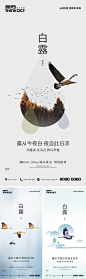 房地产白露节气海报-志设网-zs9.com