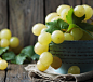 General 1440x1280 food grapes fruit still life