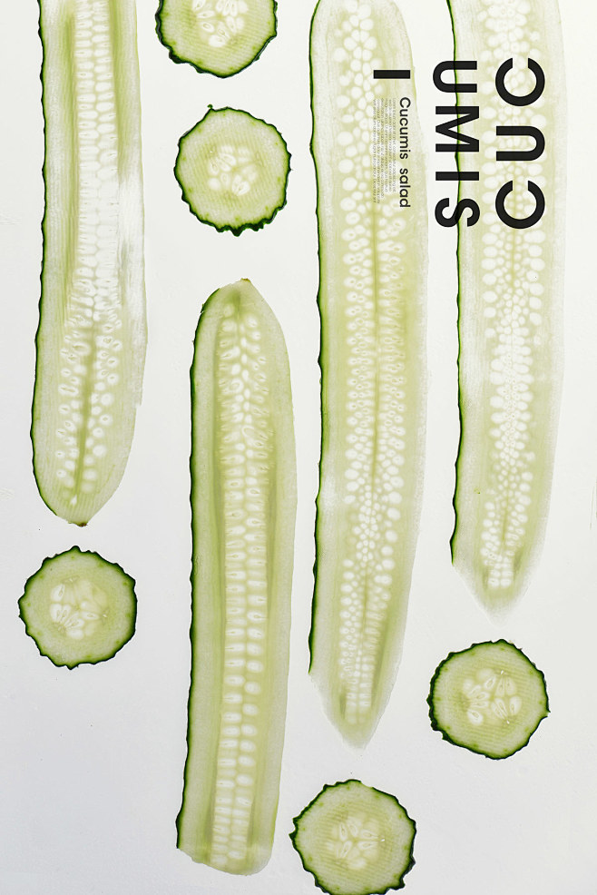 cucumis salad : cucu...