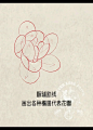 新传统风格牡丹画法 - 小红书