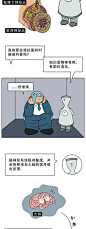为啥一紧张就“闹肚子”？一组漫画来帮你科普，肠神经太紧张了！|肠胃|拉肚子_网易订阅