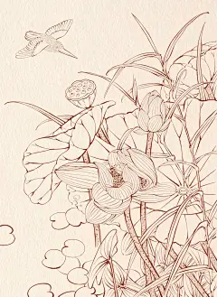 工笔插画荷花工笔线稿iPad临摹打卡day55 - 小红书