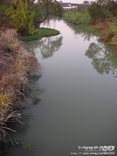 Liuqi24采集到西溪湿地公园_西溪，且