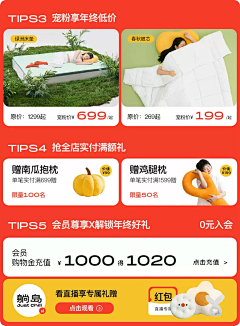 茜茜Q采集到优惠券-板式