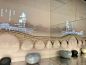 苏州湾展示博物馆｜展厅设计·作品分享