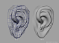 Make high-poly organic models is by modeling it with regular #polygons then subdivide it to achieve a smoother look. You need to start with the larger shapes.