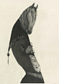 中国十二生肖插画设计