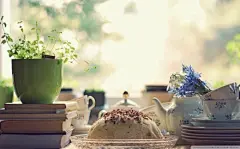 人一走，茶就凉，是自然规律；人没走，茶就凉，是世态炎凉。一杯茶， 佛门看到的是禅，道家看到的是气，儒家看到的是礼，商家看到的是利。茶说：我就是一杯水，给你的只是你的想像，你想什么，什么就是你。心即茶，茶即心！