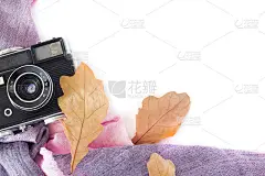 秋天的成分。复古相机，白色背景上的秋叶。怀念秋天。从上往下看。