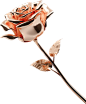 玫瑰花 质感