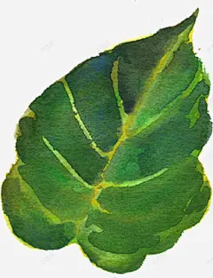水彩芙蓉花卉艺术手绘彩绘水彩插画