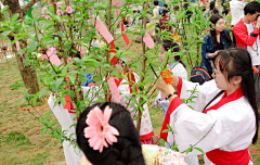 舍吥の采集到花神节