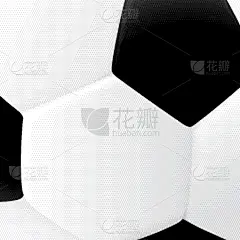 特写,足球,黑白图片,简单,华丽的,传统,运动,杯,休闲