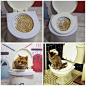 Cat Toilet Seat Training Kit Litter Tray Potty Train Kitty System SSR