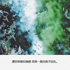 风起时-ALISON采集到Sentence