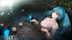 碗神采集到初音
