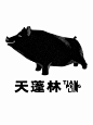 天蓬林 | 品牌形象案例 - 小红书
