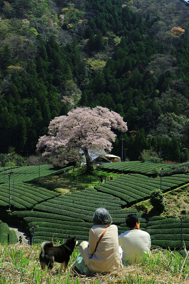 场景素材