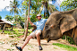 Elephan lifting a tourist. by Matej Kastelic on 500px