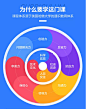 能力饼状图
