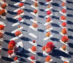 玺鱼采集到停车