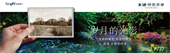 Eeeyore~采集到横 版 价 值