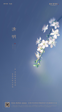 种发发采集到节点-清明节