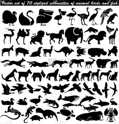 摆拍,动物,鸟类,70多岁,猴子,几何形状,蛇,狗,哺乳纲,布置