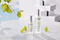 CAUDALIE TMALL99 : CAUDALIE TMALL99