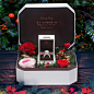 DR 求婚 圣诞 礼物 珠宝  包装  宣传 微信  微博_包装设计 _礼盒系列采下来 #率叶插件，让花瓣网更好用#